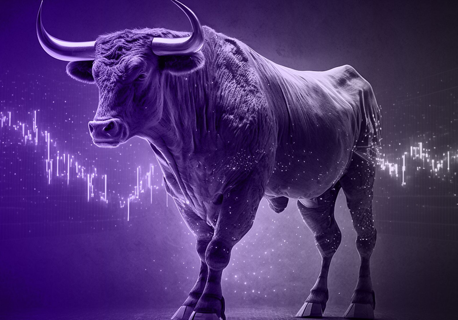 The Capitalwiz - Banner
